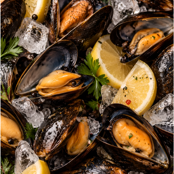 Мидии беломорские живые (4-6 см)