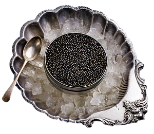 Чёрная икра